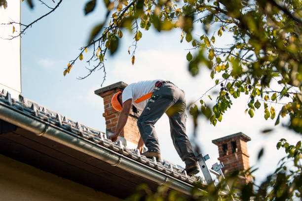 Best Flat Roof Repair Services  in Cassville, WV