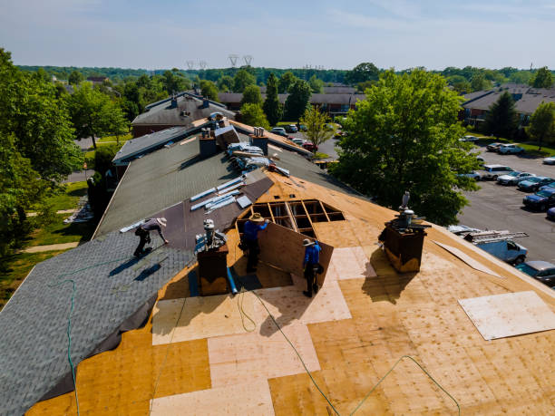 Best Roof Gutter Cleaning  in Cassville, WV