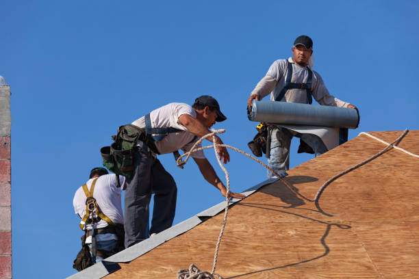 Best Roof Gutter Cleaning  in Cassville, WV