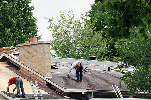Best Gutter Installation and Roofing  in Cassville, WV