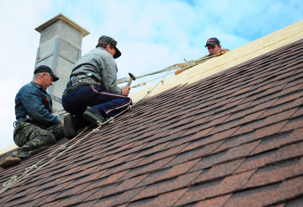 Best Roofing Contractor Near Me  in Cassville, WV