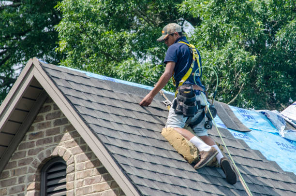 Best Roofing Contractor Near Me  in Cassville, WV